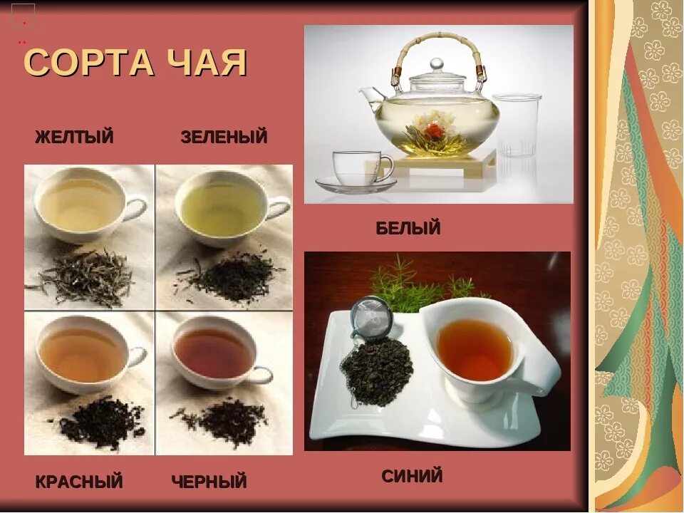 Чай сорта и виды. Виды чая. Разные сорта чая. Основные виды чая. Сорта чаев названия.