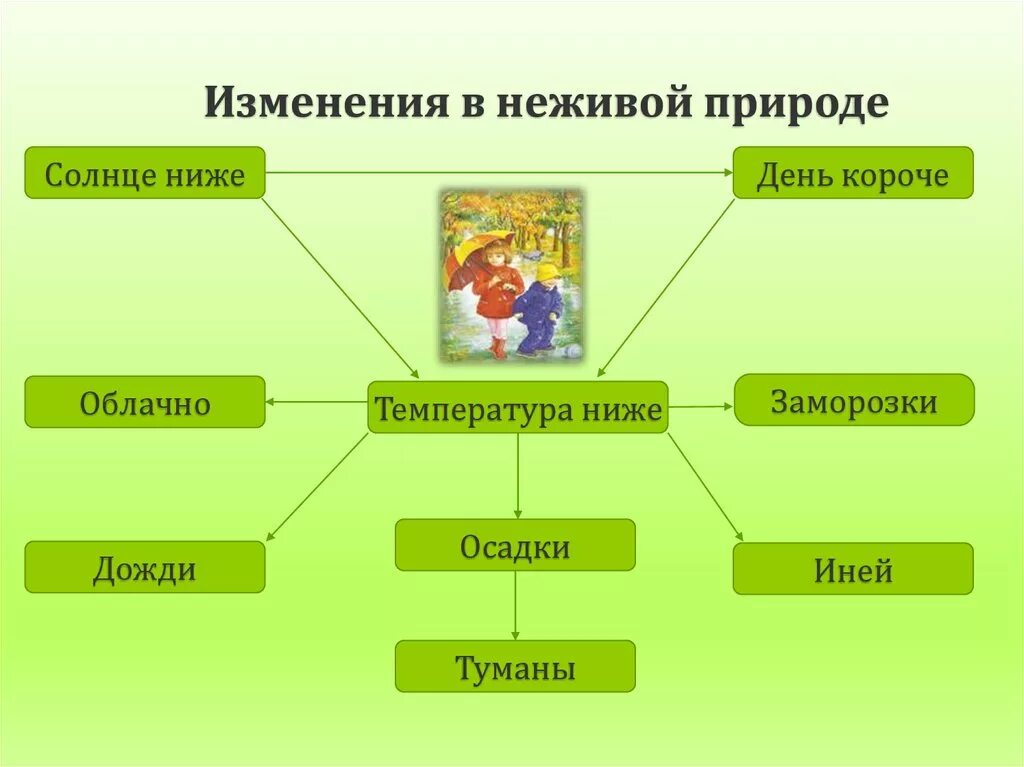 Примеры живой природы 2 класс окружающий мир. Изменения в неживой природе. Сезонные изменения в живой природе и неживой природе. Изменения в неживойприроле летом. Кластер сезонные изменения в природе.