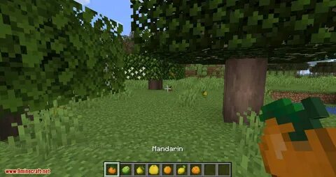 Fruit mod minecraft