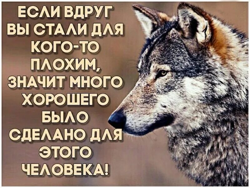 Насколько ты добрый и хороший. Картинка если вы стали для кого то плохим. Значит много сделал для человека. Не старайся для людей будь собой. Стараются высказывания.