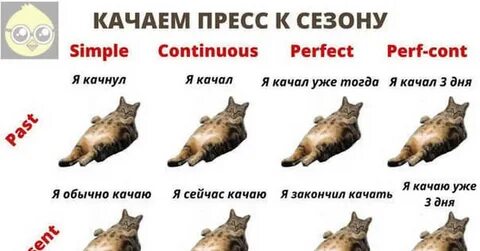 Время в коте