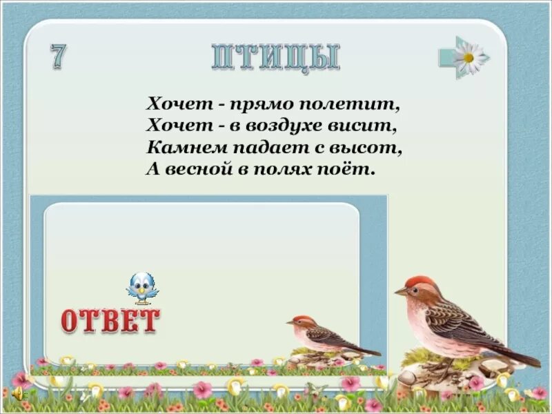 Флай-йога в гамаках. Желать висеть. Кот на занавеске. Позитивные иллюстрации. Ребенок подтягивается.