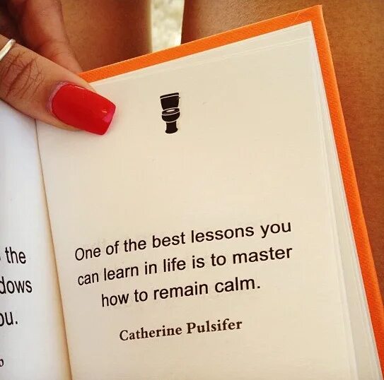 We can skateboard very well план урока. Lesson надпись. Past simple текст. Remain calm down обложка. The end of the lesson.