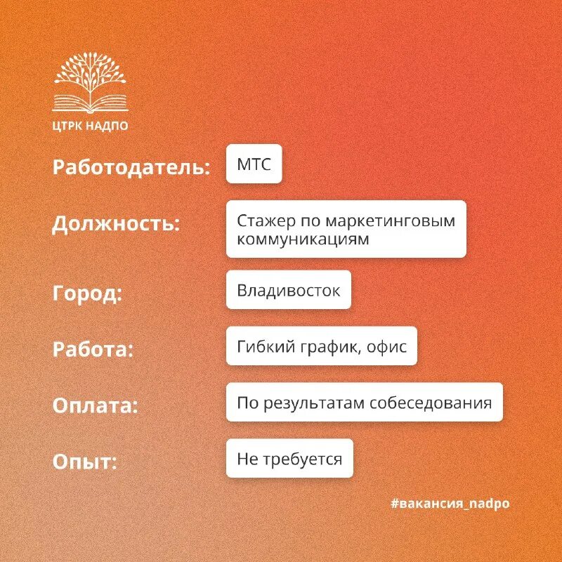бетон жара. стажер по составу. разбор по составу. стажер по составу. 5 слов разбор по составу.