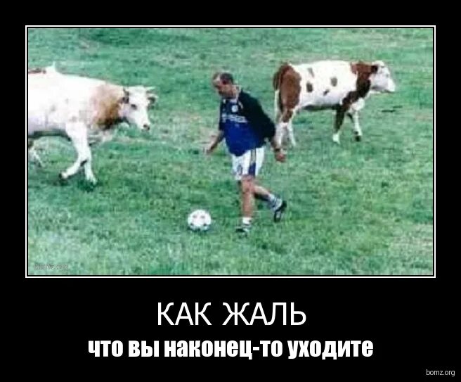 Как жаль что вы наконец уходите. Как жаль что вы наконец-то уходите. как хорошо что вы наконец-то уходите. как жаль что вы наконец-то уходите реклама. как жаль что вы наконец-то уходите книга.