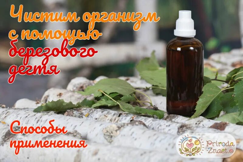 Можно пить березовый. Очищение организма березовым дегтем. очищение печени берёзовым дегтем. чистка организма березовым дегтем. деготь для питья.