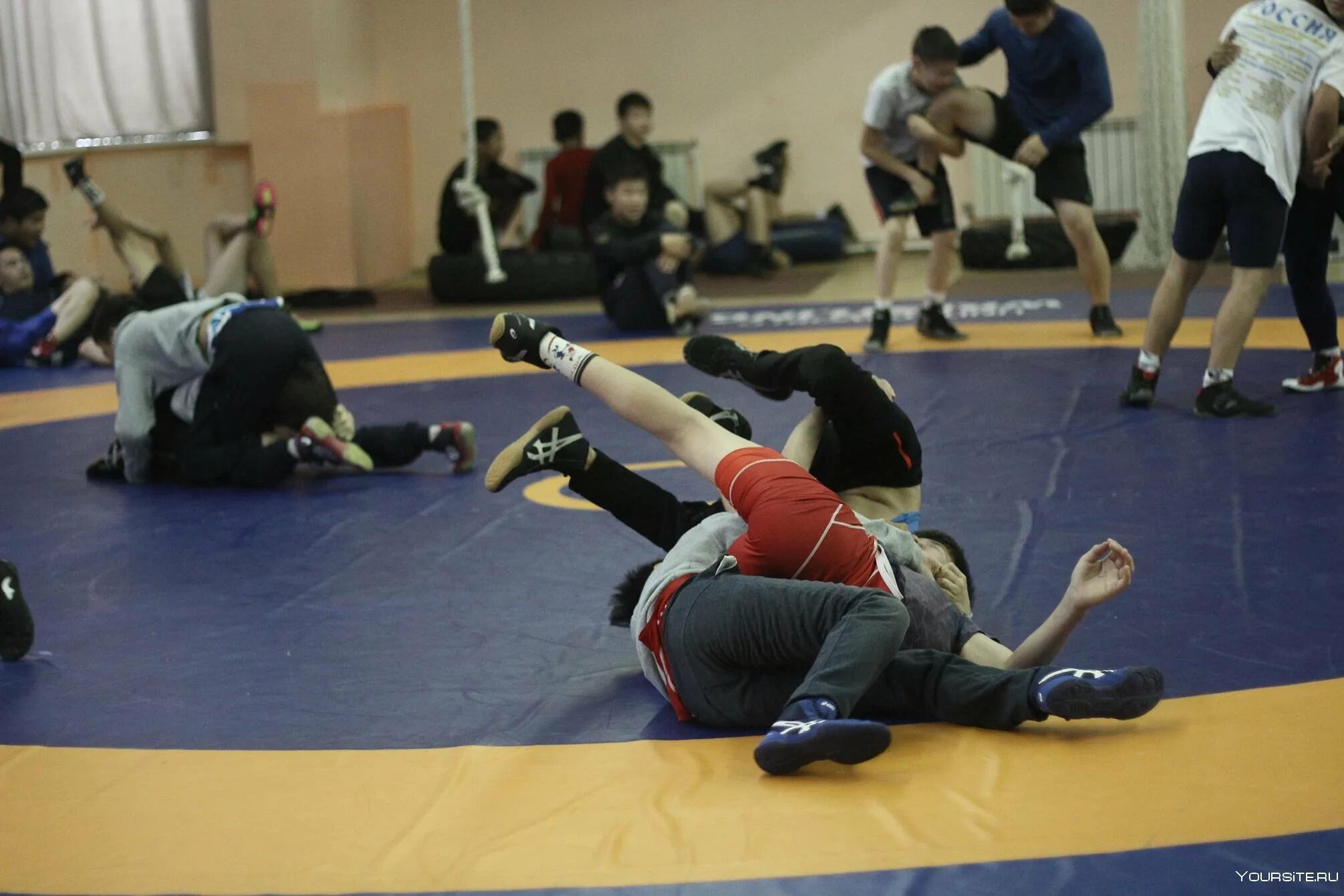 Тренировка по борьбе. Волная борба тренировка. Вольная борьба упражнения. Греко римская борьба тренировка. Греко римская борьба тренировка.