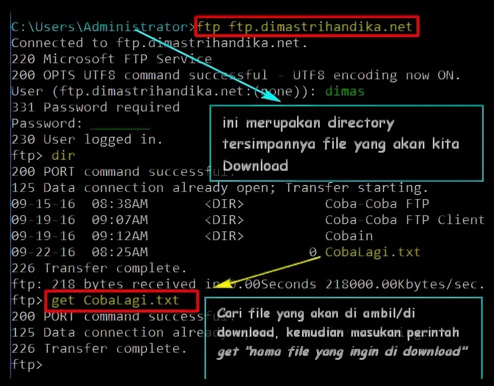 File users admin downloads. File users admin downloads