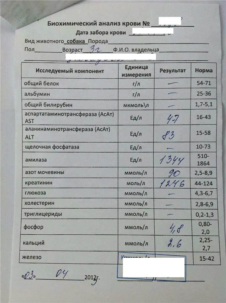 Анализ крови. Биохимический анализ крови. Биохимия крови анализ. Биохимический анализткрови. Биохимические пробы