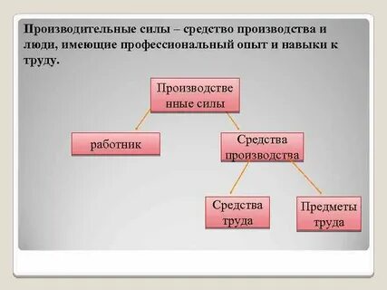 Разделение труда производительные силы общества