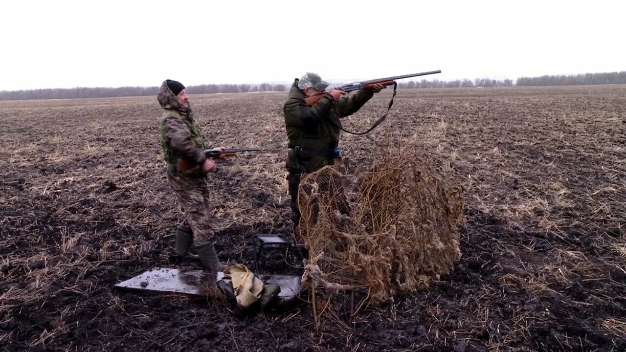 Тамбовские охотхозяйства