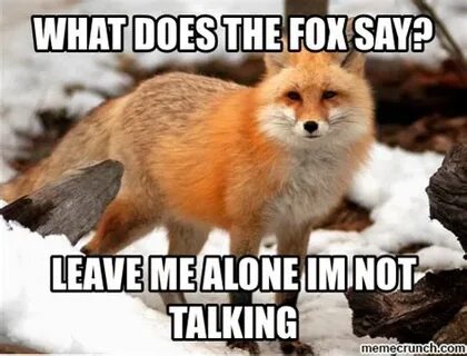 What do the foxes say