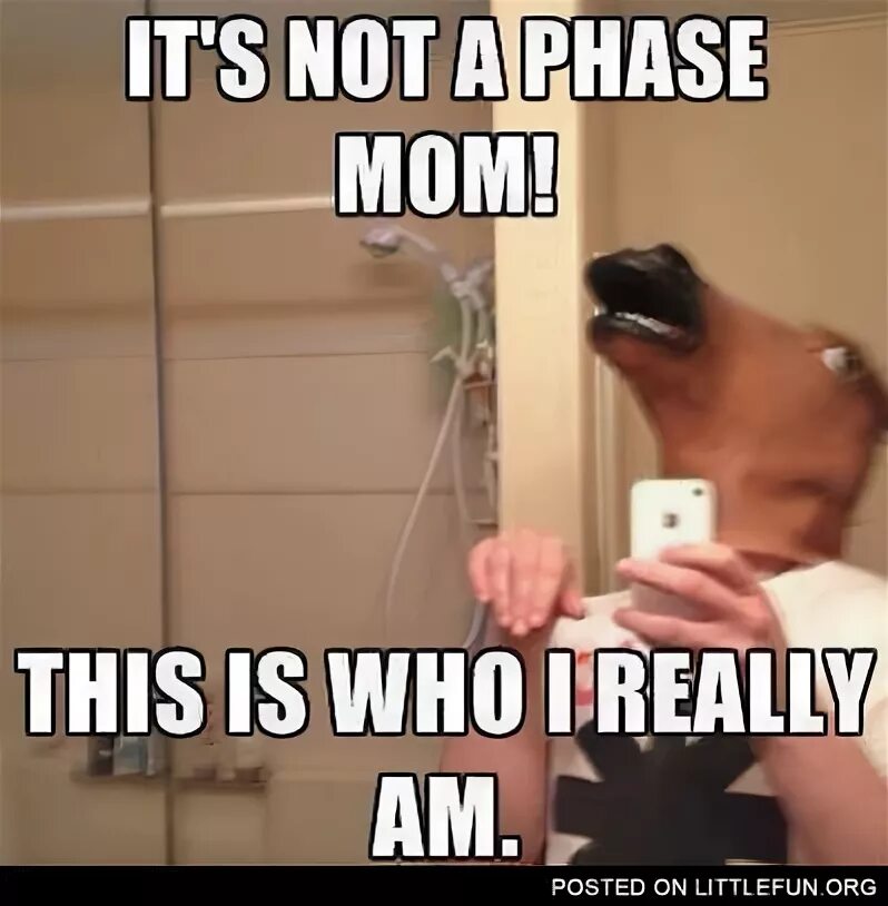 Who i am надпись. надпись who. брюнетка с тату на спине. Who am i. Who i am одежда.