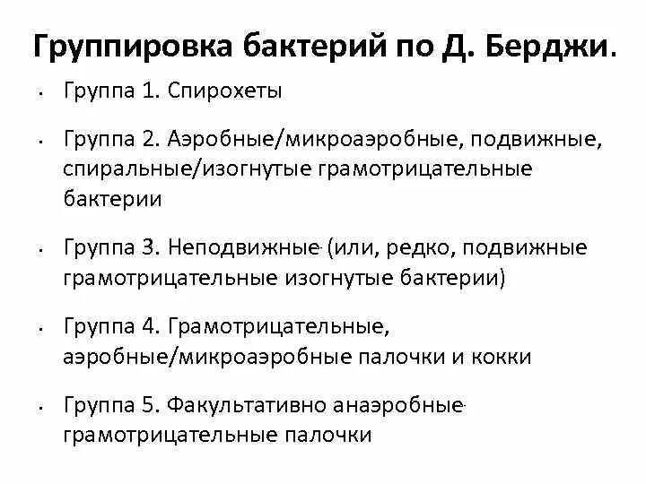 Классификация Берджи микробиология. Классификация бактерий по Берджи. Принципы классификации по Берджи. Принципы классификации бактерий по Берджи. 6 групп бактерий