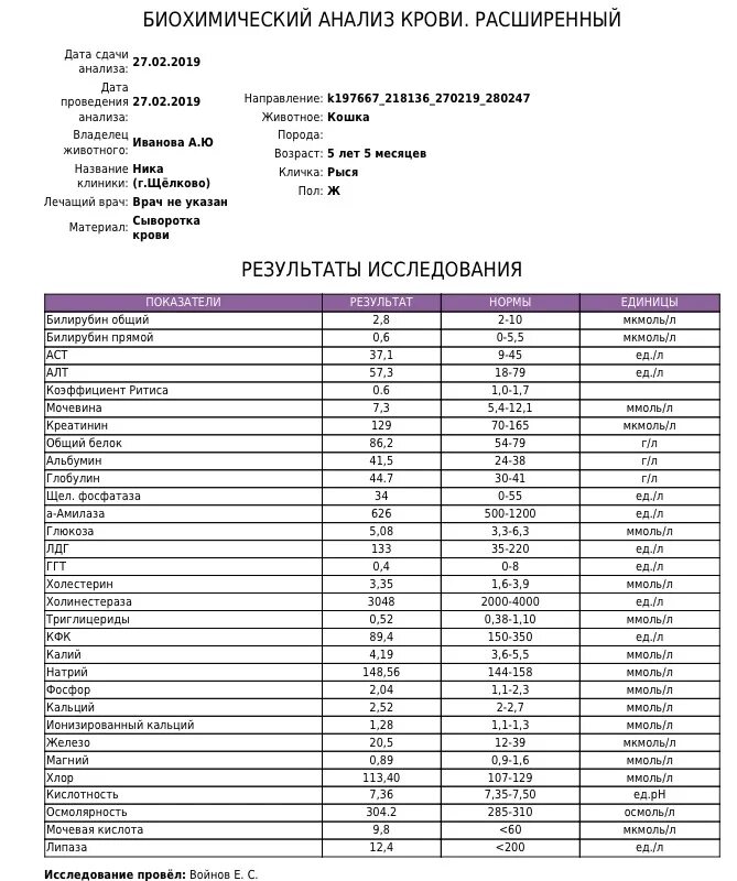 Что показывают результаты анализа крови. Биохимия крови развернутый анализ. Показатели биохимического анализа крови человека. Расширенный биохимический анализ крови показатели. Биохимические показатели крови таблица.