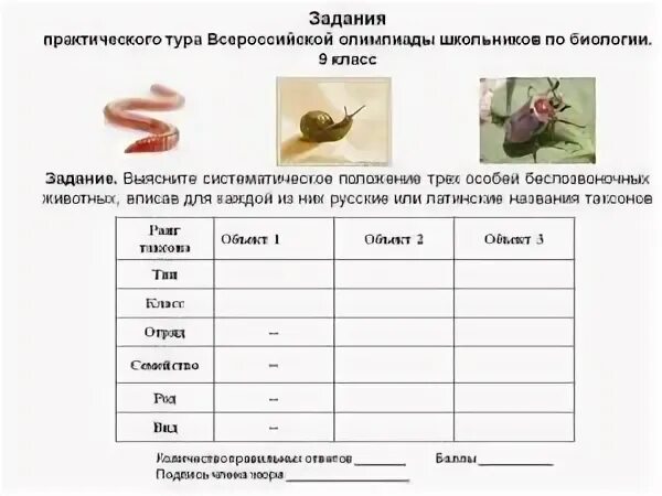 Олимпиадные задания по биологии 7. Олимпиадные задания по биологии 7