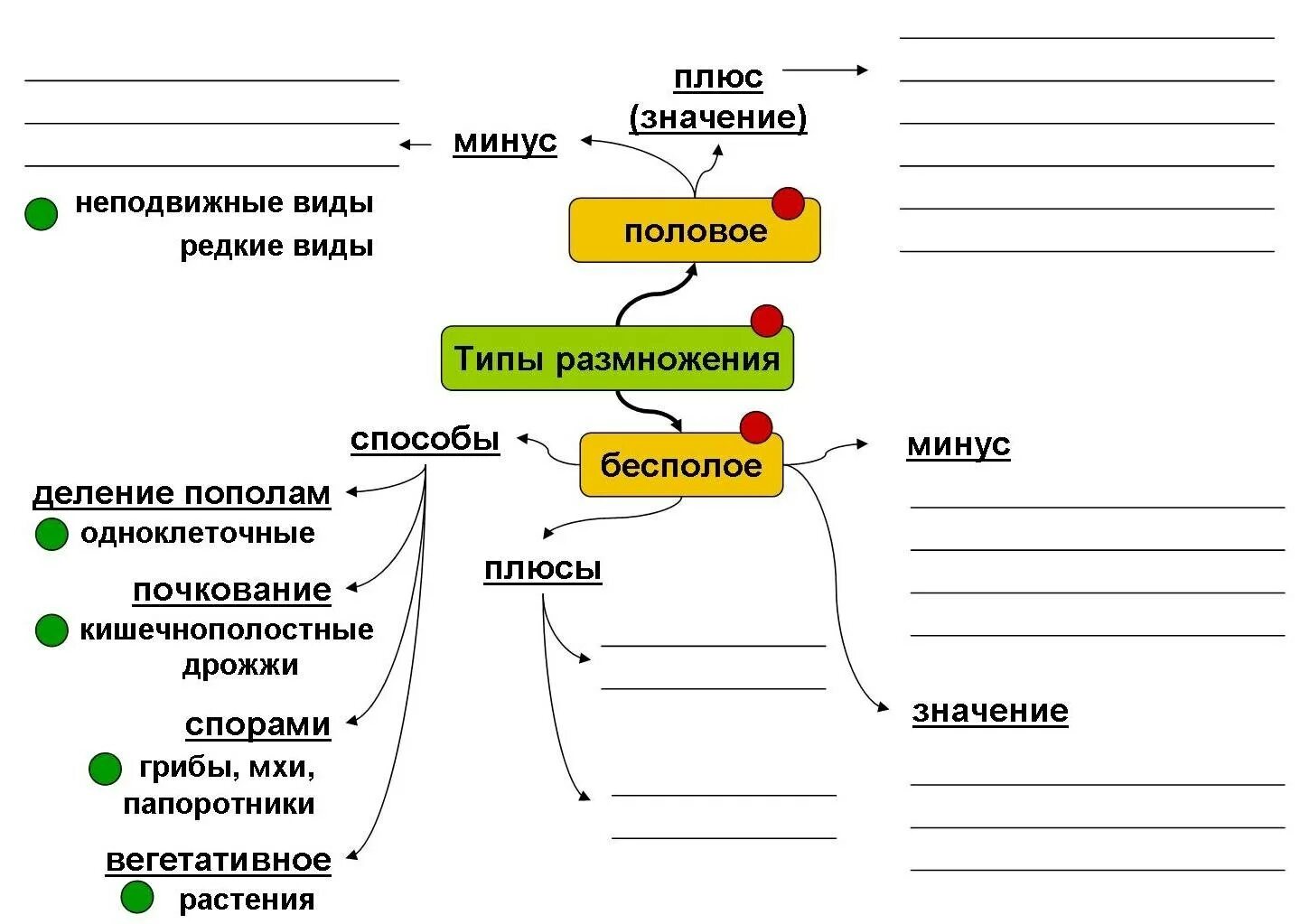 Урок размножение 9 класс