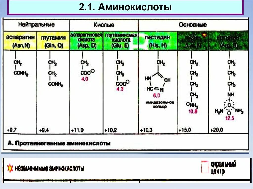 Кислотно основные аминокислоты