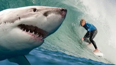 Attack shark r1