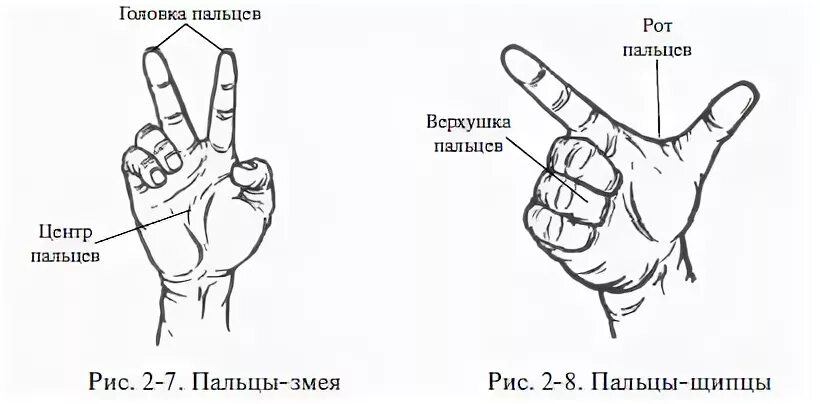 Раскрытие 1 палец через. Два пальца это сколько раскрытие. Раскрытие 2 пальца это сколько в см.