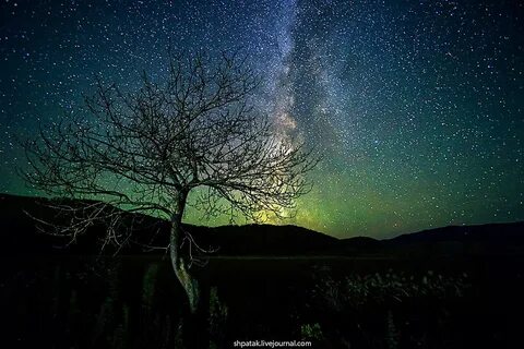 Ночь безлунна успокоившиеся огэ