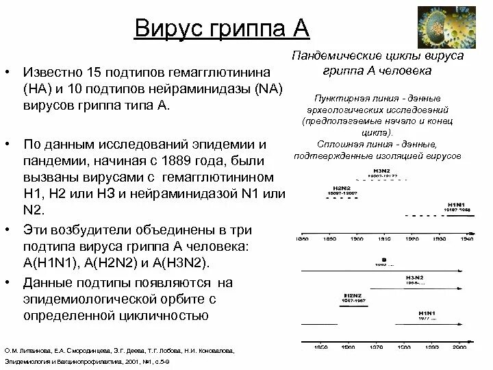 Гриппа подтипы. Гриппа подтипы
