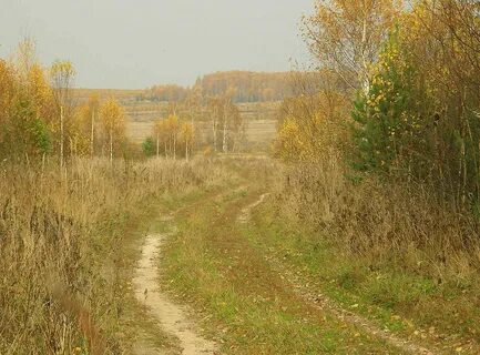 Прогноз погода село кошелиха