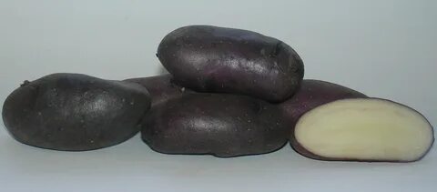 Коренево картофель семенной