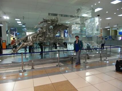 Новосибирск аэропорт рубцовск