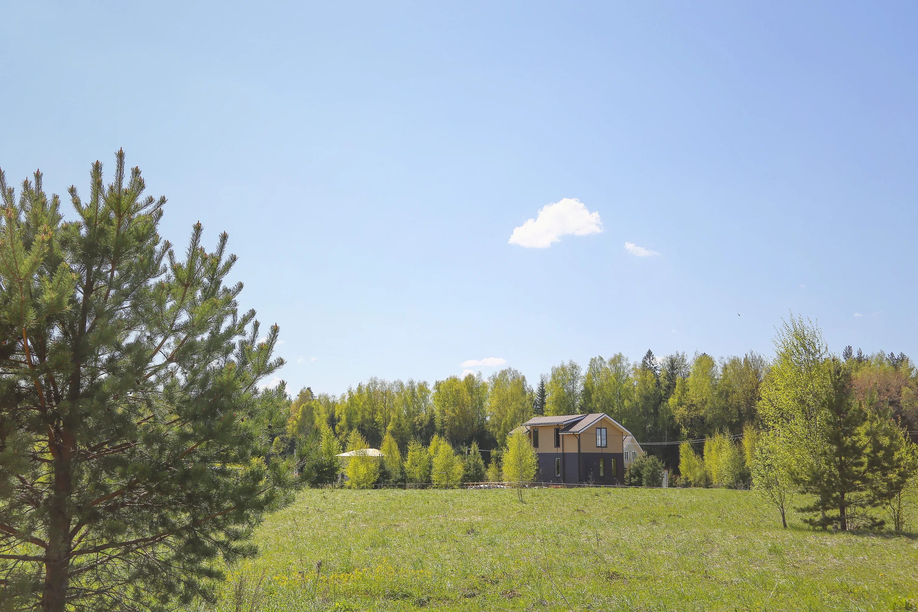 102 участок. 102 участок. Нахабино участки. 102 участок. Снт ртищево.