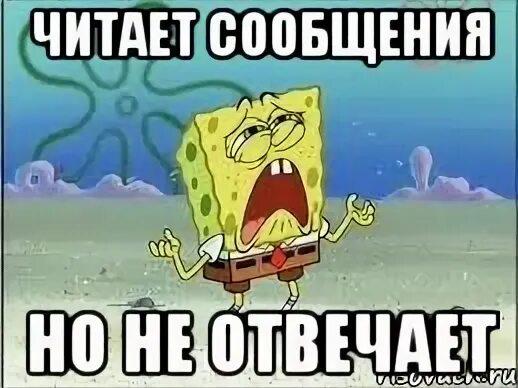 Читает сообщения но не отвечает почему. Не читаем сообщения. читает сообщения но не отвечает. когда прочитал сообщение и не ответил. мем не читает сообщения.
