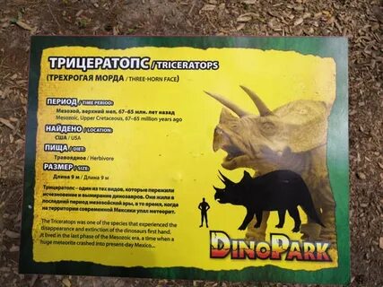 Режим работы динопарка