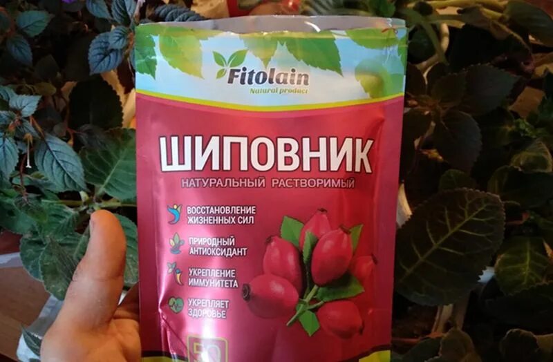 Можно детям давать шиповник. Шиповник натуральный растворимый 80гр. fitolain. шиповник быстрорастворимый порошкообразный. шиповник растворимый порошкообразный. порошок шиповника.