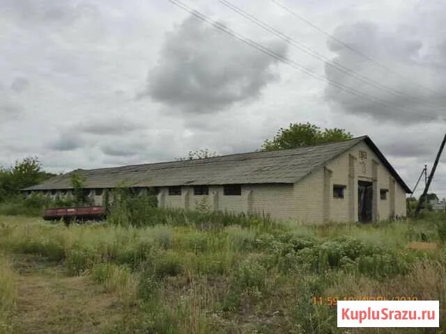 Погода косоржа. Погода косоржа. Теребуж курская область. Станция охочевка. Погода косоржа.
