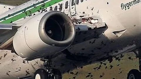 Что будет если самолет попадет