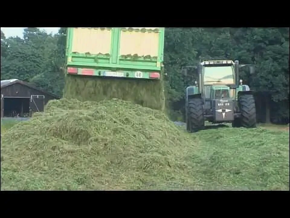 Заготовлять корма. Упаковщик силоса в рукава усм-1. тритикале на сенаж. заготовка кормов для крс. отборник корма силос.