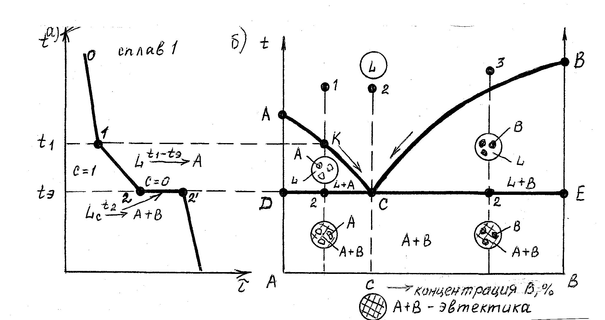 Диаграмма состояния 1 рода. Диаграмма состояния 3 рода материаловедение. Диаграмма состояния сплавов образующих механические смеси. Кривые охлаждения сплавов материаловедение. Диаграмма состояния 1 рода.