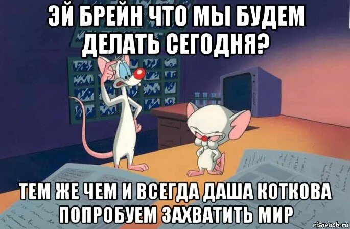 пинки и брейн завоевать мир. план захватить мир. какие захватить мир. пинки и брейн завоевать мир. захватить мир пинки.