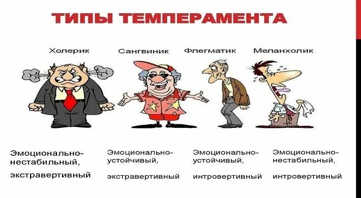 Основные типы темперамента личности. Типы темперамента. типы личности по темпераменту. типы темперамента картинки. типы личности холерик.