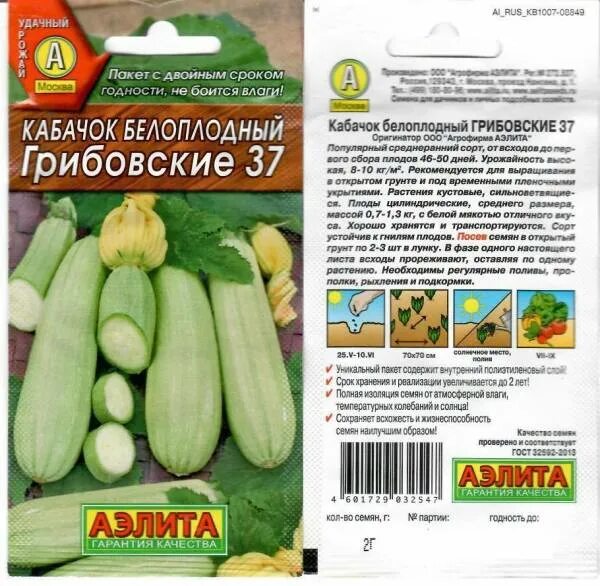 Кабачки сорта Грибовский: Фото и Описание Планета земля Фотогалерея природы на d