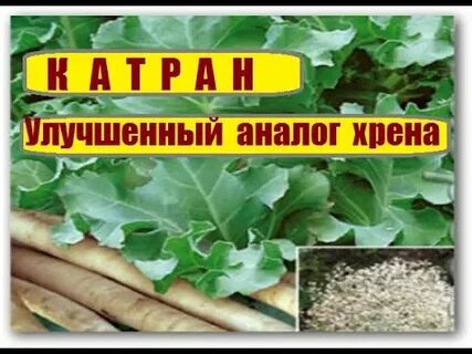 Аналог хрена