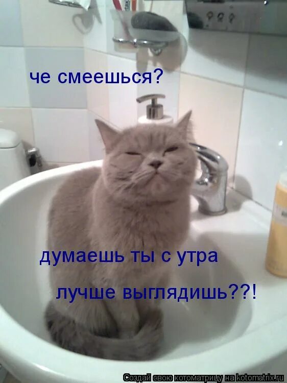 цветочек улыбается. доброе утро смех до слез. всемирный день улыбки. смеяться утром. доброе утро дети.