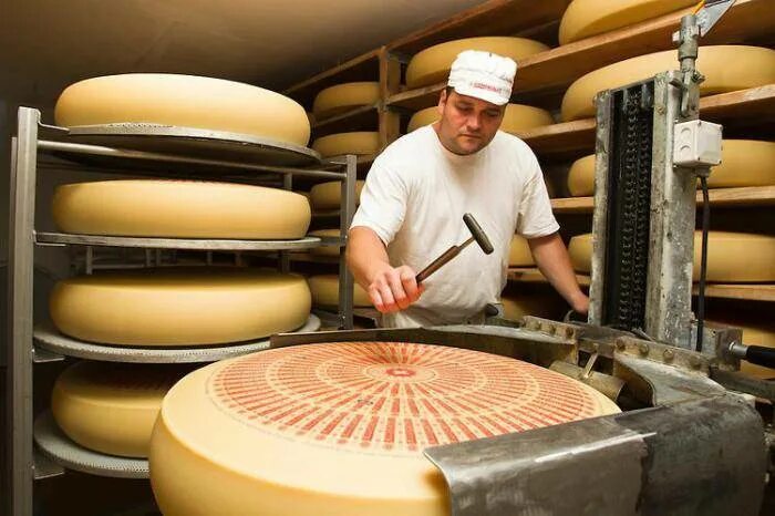 Сыроварня завод в Италии. Сырный цех. Производство сыра. Сырный завод. Цех сыра