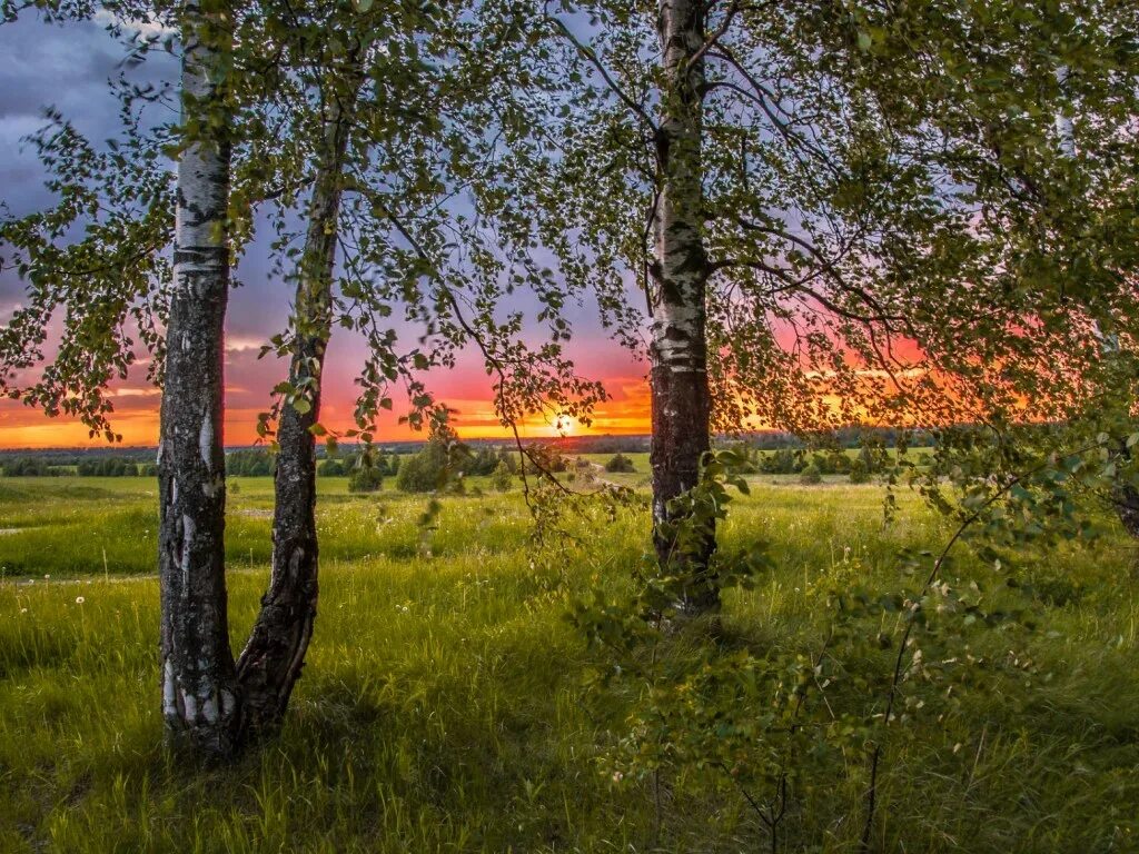 Родные просторы Пушгоры панорама. Русская природа. Красота русской природы. Пейзажи России. Слушать песню еду на родину не лето