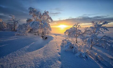 Фото красивый пейзаж зимы