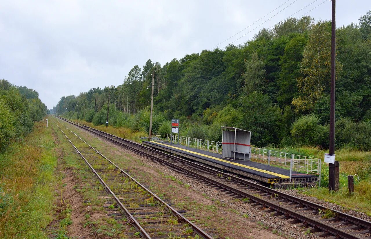 станция сланцы. гдов жд вокзал. автобус псков гдов. гдов жд вокзал. гдов сланцы.