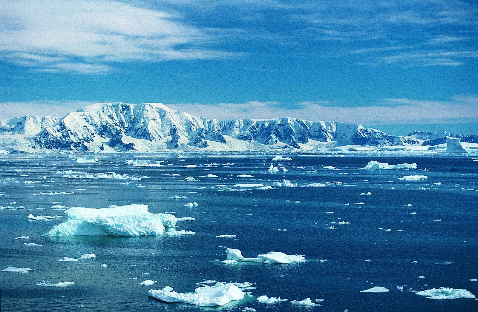 Южный Ледовитый океан. Южный антарктический океан. Антарктида Южный океан. Северный Ледовитый и Южный океаны. Ветра ледовитого океана