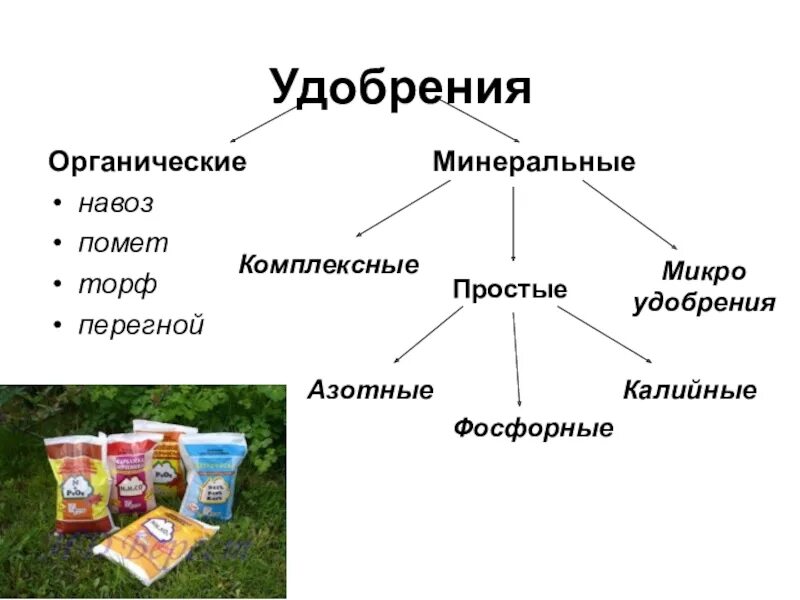 Синонимы термина минеральное питание. Минеральное питание растений удобрения 6 класс. Биология 6 кл минеральное питание растений удобрения. Минеральное питание растений удобрения 6 класс биология. Биология 6 класс питание растений удобрения.