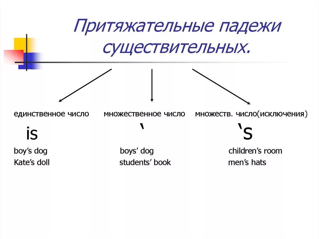 Поставь предложение во множественное число. Имя существительное притяжательный падеж в английском языке. притяжательный падеж существительных в английском языке 2 класс. притяжательный падеж в английском языке множественное число. англ притяжательный падеж имен существительных.