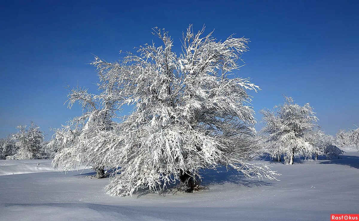 зима на природных территориях